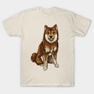 Finnish Lapphund Dog | Chocolate and Tan T-Shirt